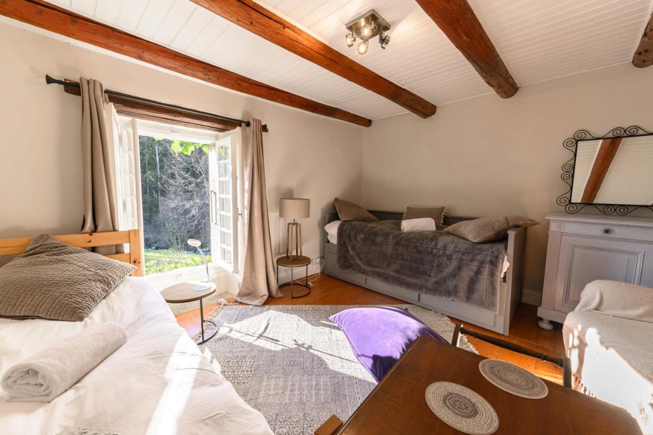 Le Moulin De Dingy - House With 6 Bedrooms & Swimmingpool 20 Mn From Annecy المظهر الخارجي الصورة